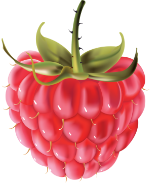 animated falling raspberries 1